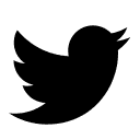 timer bird