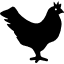 timer hen